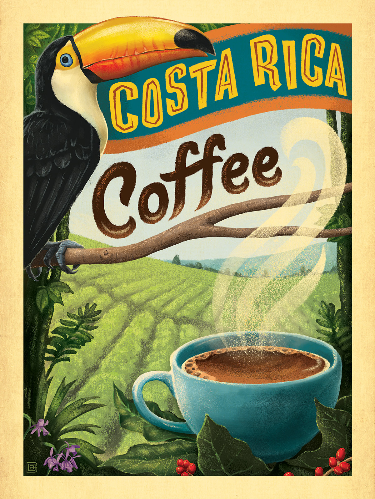 Costa Rican coffee bean image