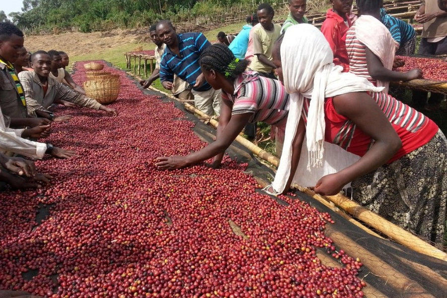 mycuppa August 2018 Newsletter