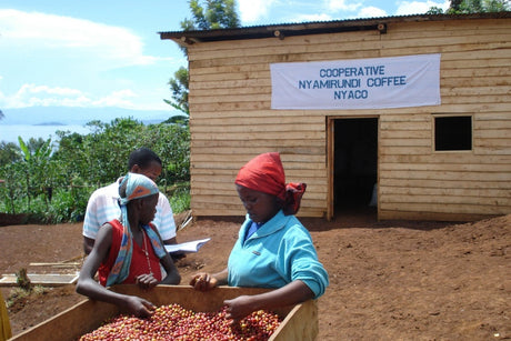 mycuppa October 2016 Newsletter.