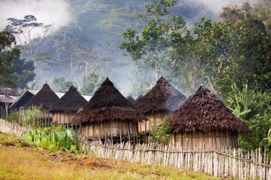 mycuppa September 2016 Newsletter