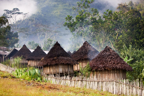 mycuppa September 2016 Newsletter