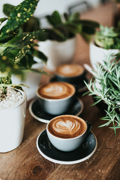 How Many Coffees Can You Brew From One Kilogram Of Coffee?