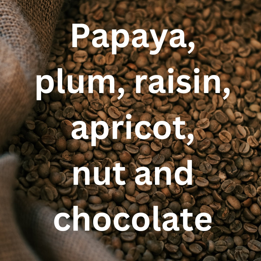 myCuppa Brazil Cambara single origin coffee tasting card