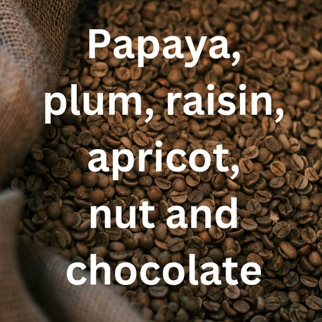 myCuppa Brazil Cambara single origin coffee tasting card