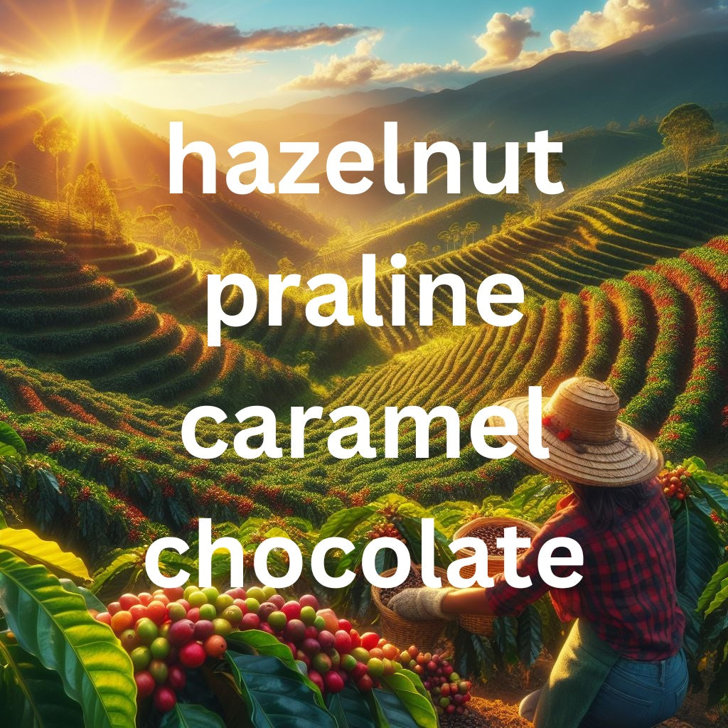 myCuppa Colombia Excelso premium quality single origin coffee tasting card