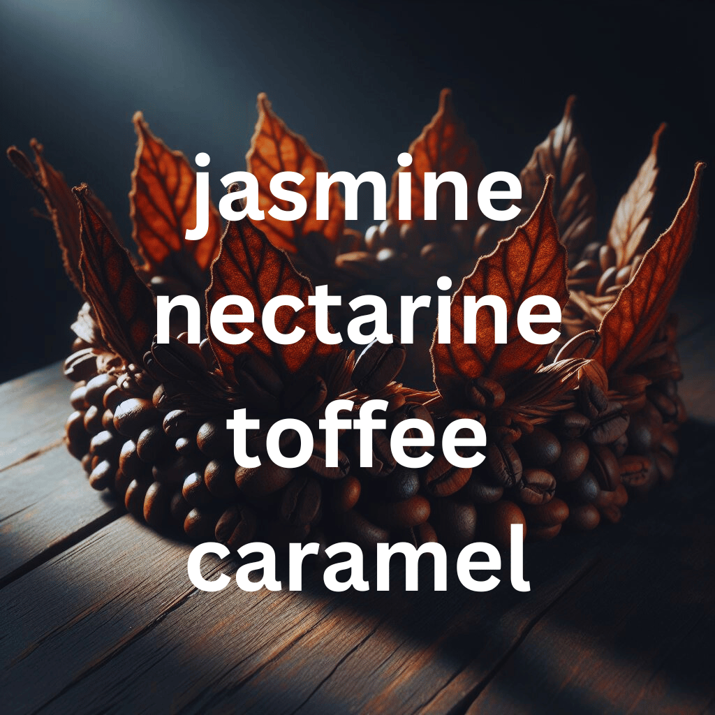 myCuppa Ethiopia Yirgacheffe single origin coffee tasting card