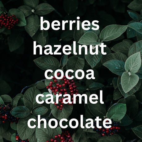 organic blend flavours