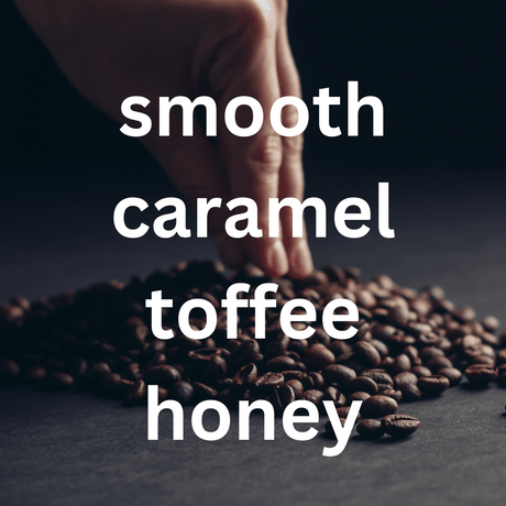 mycuppa Santoasa Organic coffee blend tasting card