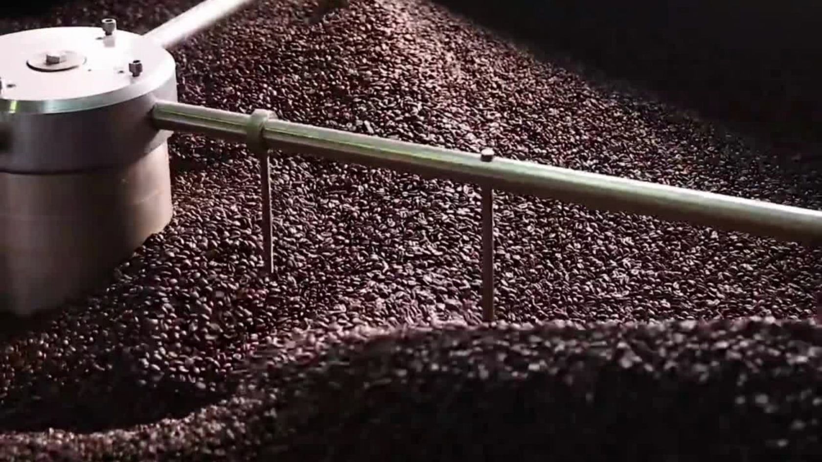 mycuppa freshly roasts coffee daily