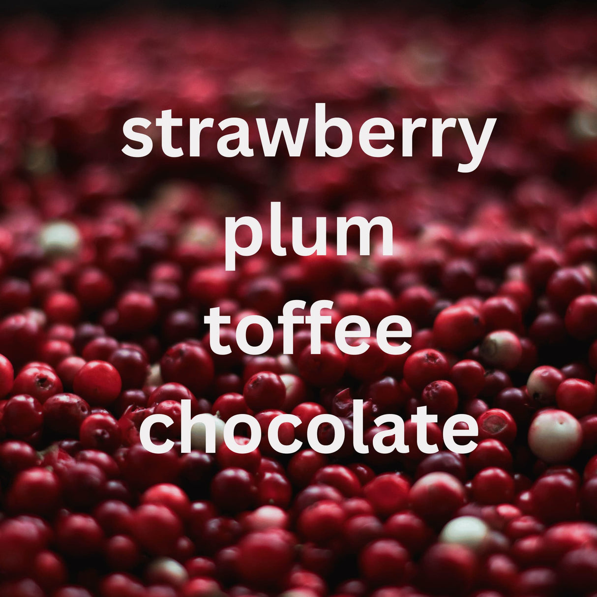 mycuppa SWest Java single origin coffee flavor card