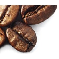 Freshly Roasted Coffee Beans - Coffee Roast Guide