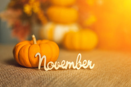mycuppa November 2023 Newsletter