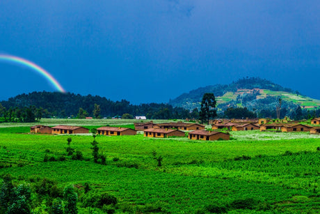 mycuppa has remarkable Rwanda Coffee for sale