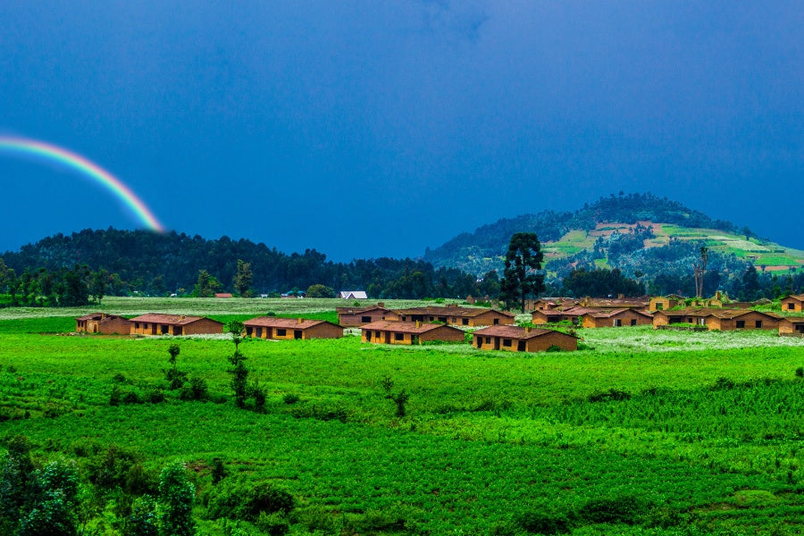 remarkable Rwanda Coffee