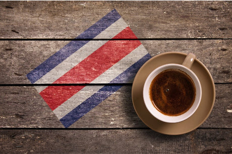 mycuppa December 2010 Newsletter