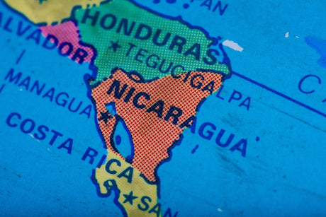 mycuppa January 2013 Newsletter