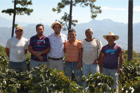 July 2016 mycuppa Newsletter