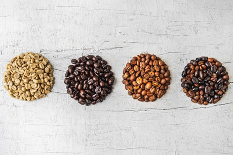 Freshly Roasted Coffee Beans - Coffee Roast Guide