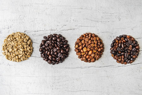 Freshly Roasted Coffee Beans - Coffee Roast Guide