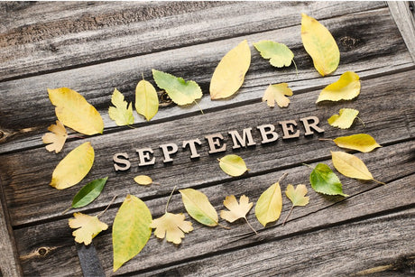 mycuppa September 2022 Newsletter