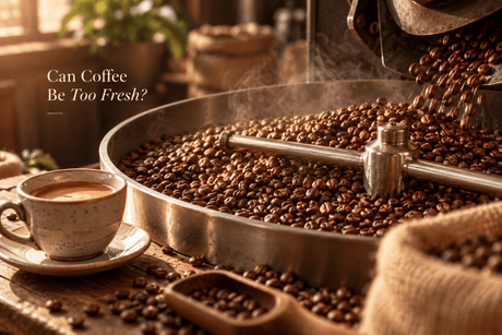 can coffee be too fresh? mycuppa explains