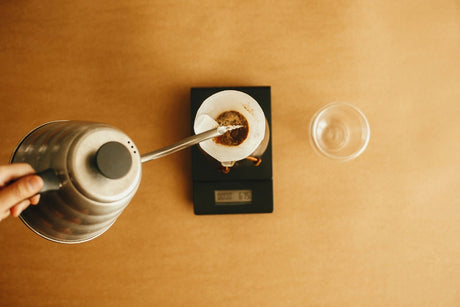 new filter roast coffees at mycupp.com.au