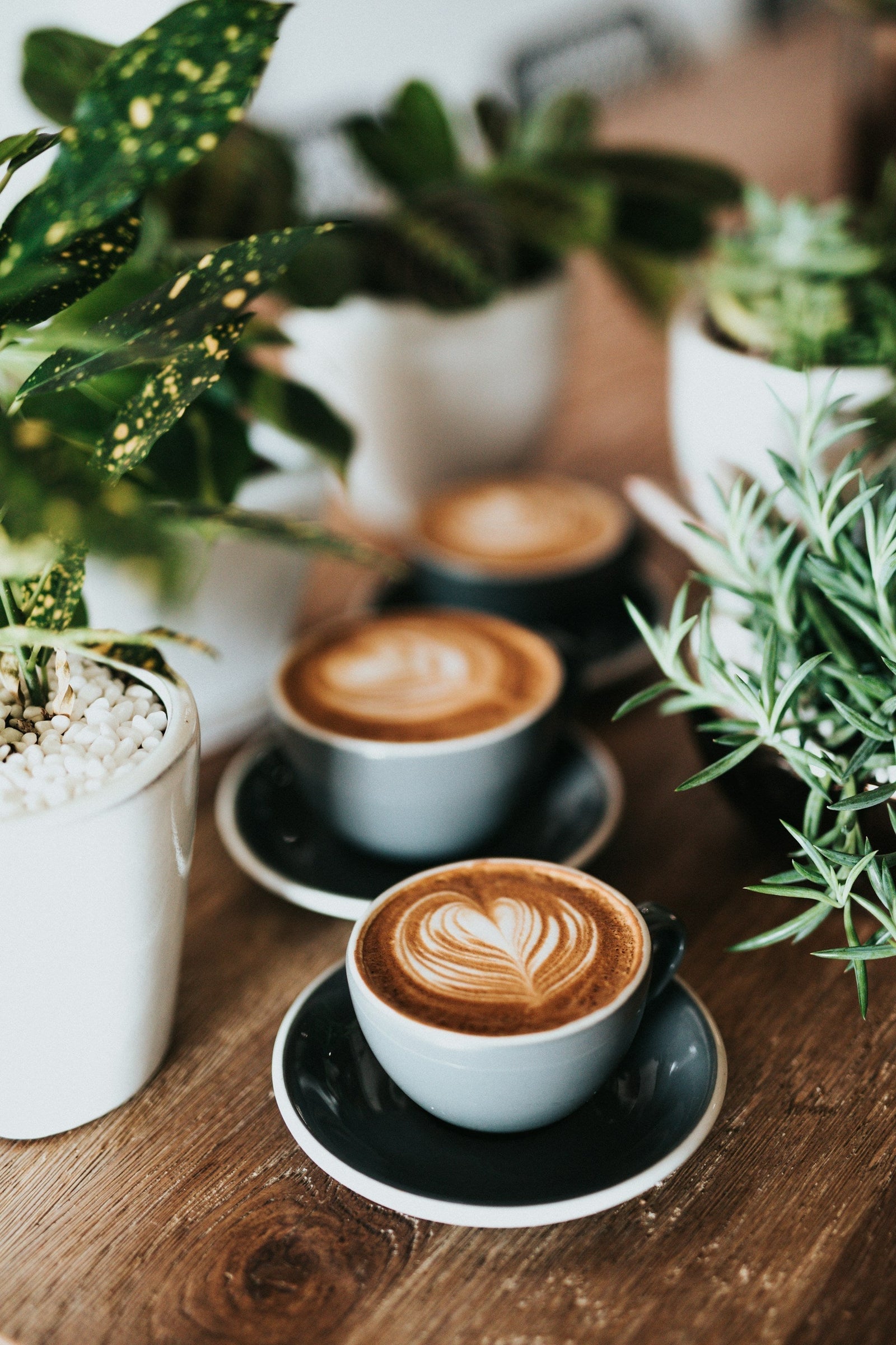 how many coffees can you brew from a kilo of coffee beans