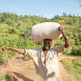 Burundi Microlot