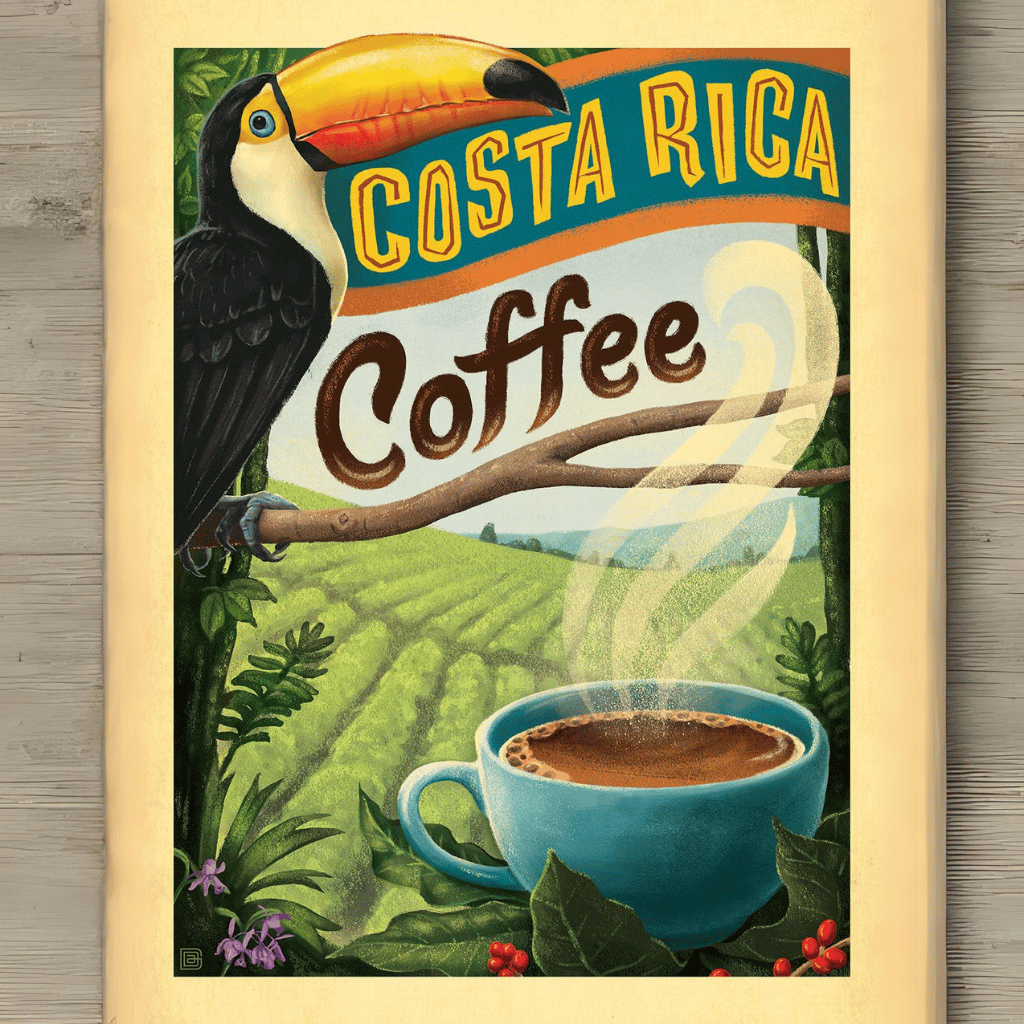 Costa Rica Jaguar