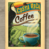 Costa Rica Jaguar