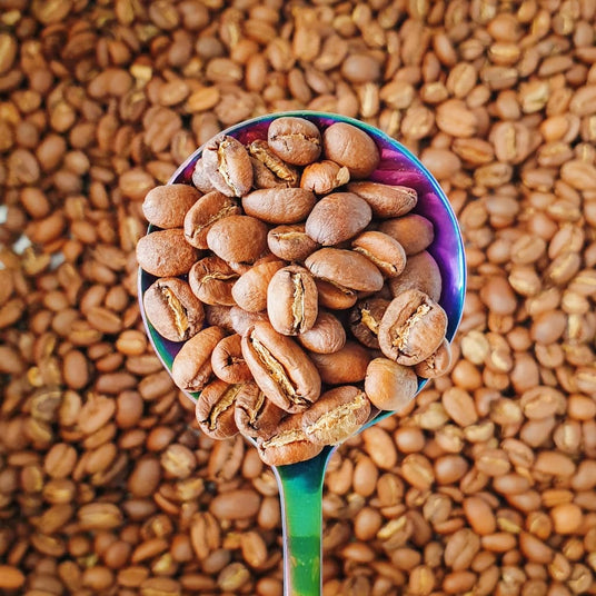mycuppa offers precision roasted lighter style filter roast coffees