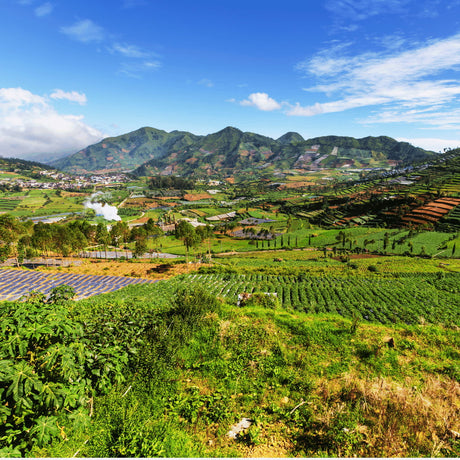 Scenic view of a West Java valley with green fields and mountains under a blue sky.