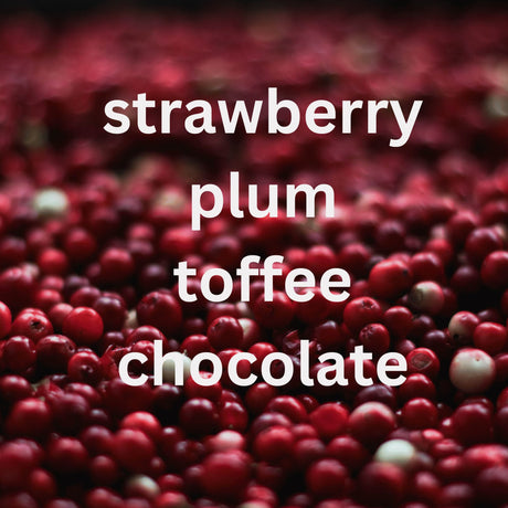 mycuppa SWest Java single origin coffee flavor card